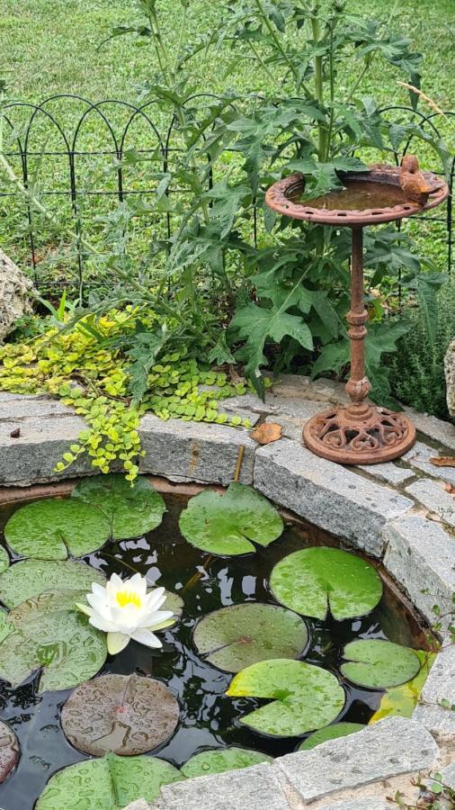 Dragonfly Appartamento Blu Angera Bagian luar foto